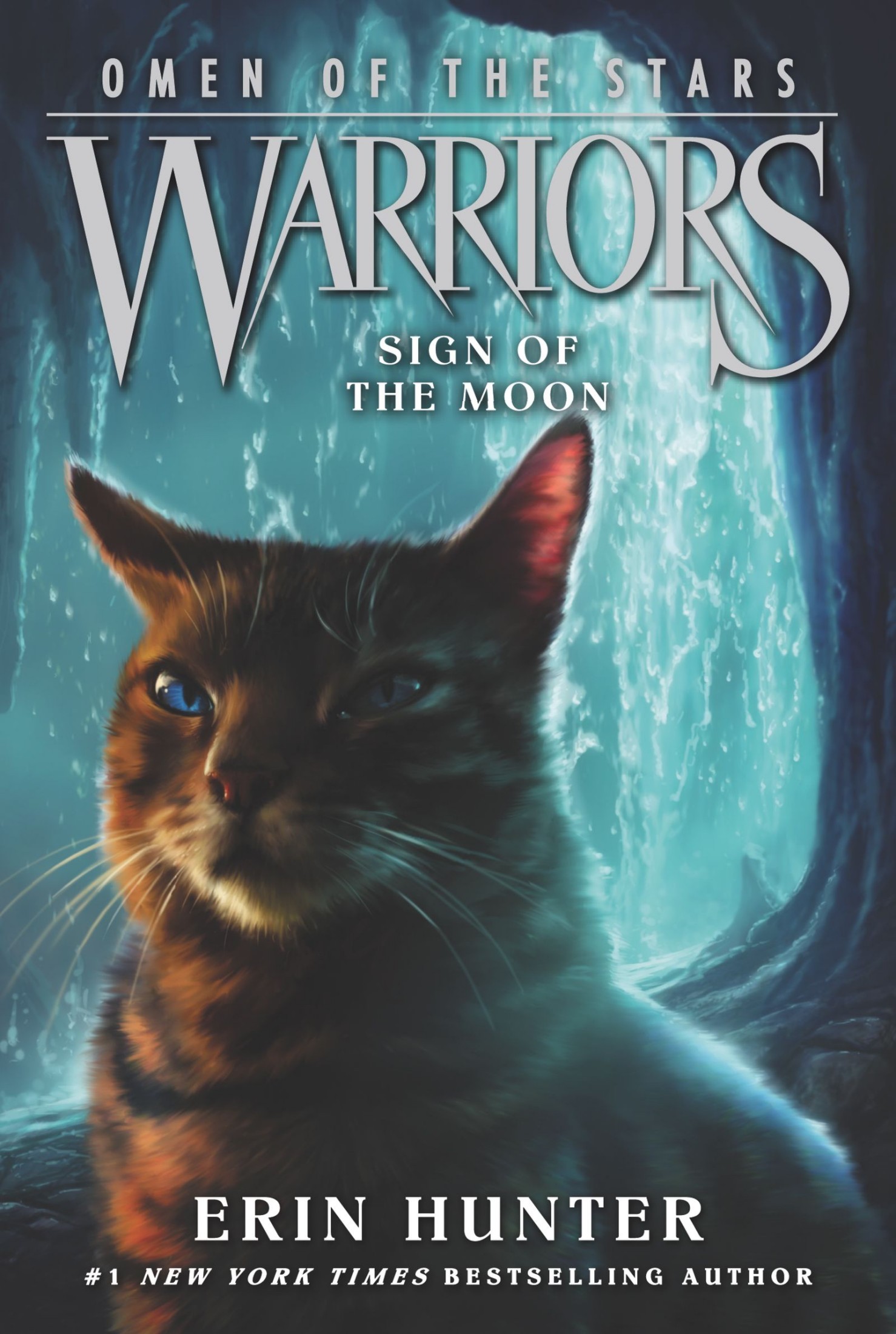 Warriors: Omen of the Stars #5: The Forgotten Warrior